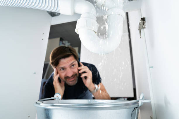 Best Plumbing Inspection Services  in Banks Springs, LA